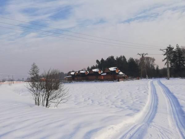 Domki Nad Jeziorem Czorsztynskim Debno  外观 照片